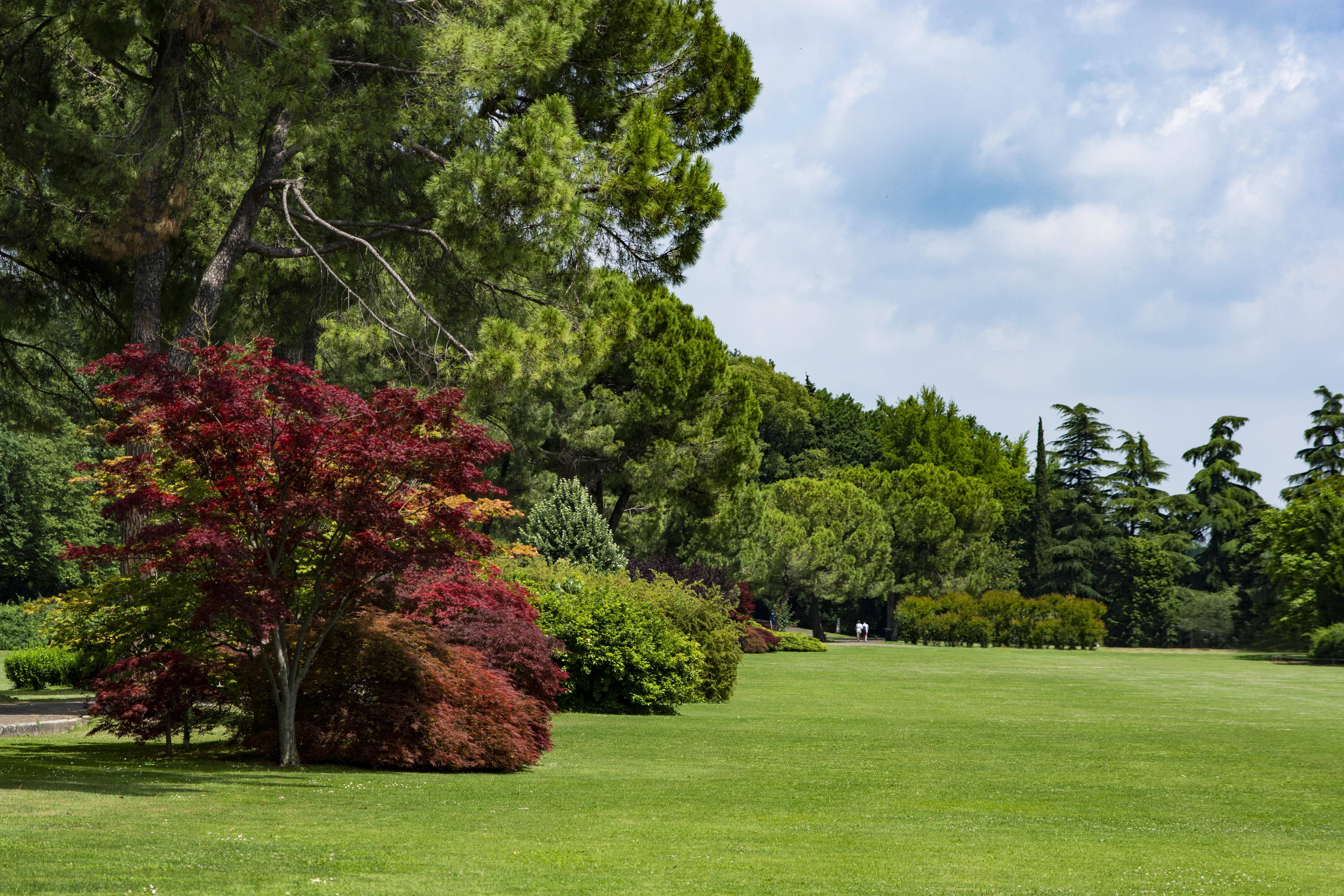 Un’estate al Parco Giardino Sigurtà, il paradiso verde di Valeggio sul Mincio